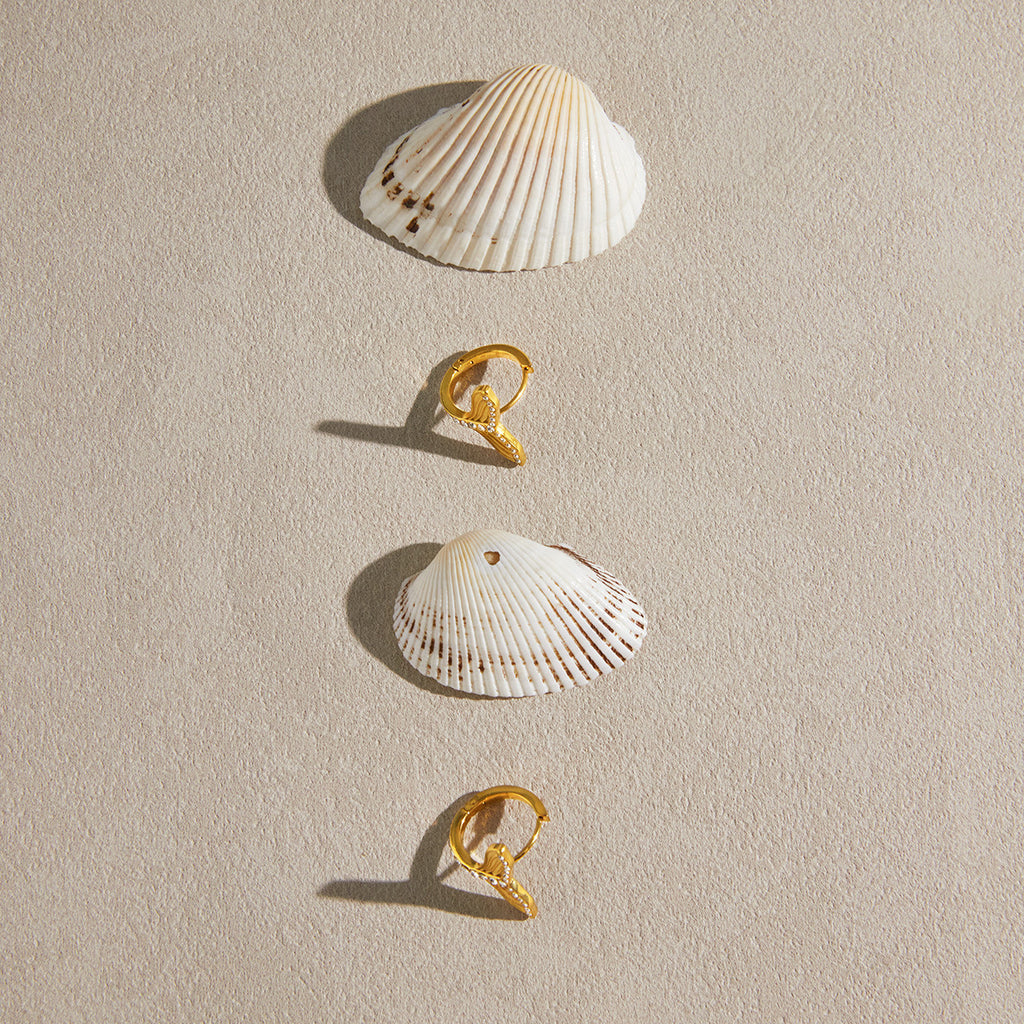 Tail-shaped hoops arranged with seashells