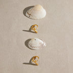 Tail-shaped hoops arranged with seashells