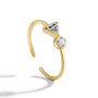 close isolated view of the adjustable triangle and round zirconia ring