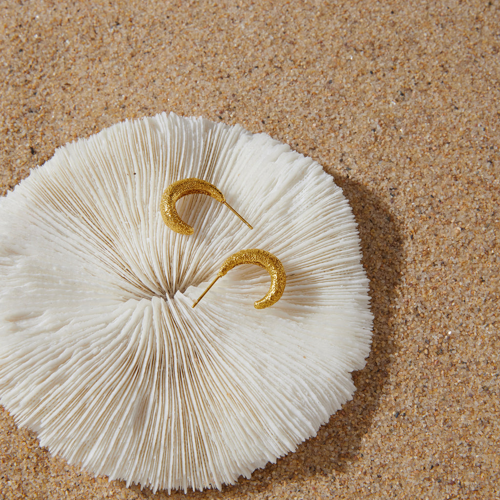 Textured open hoops resting on a pale shell