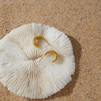 Textured open hoops resting on a pale shell