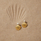 Fluted shell earrings arranged on sand