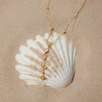 Celestial necklace arranged over a shell