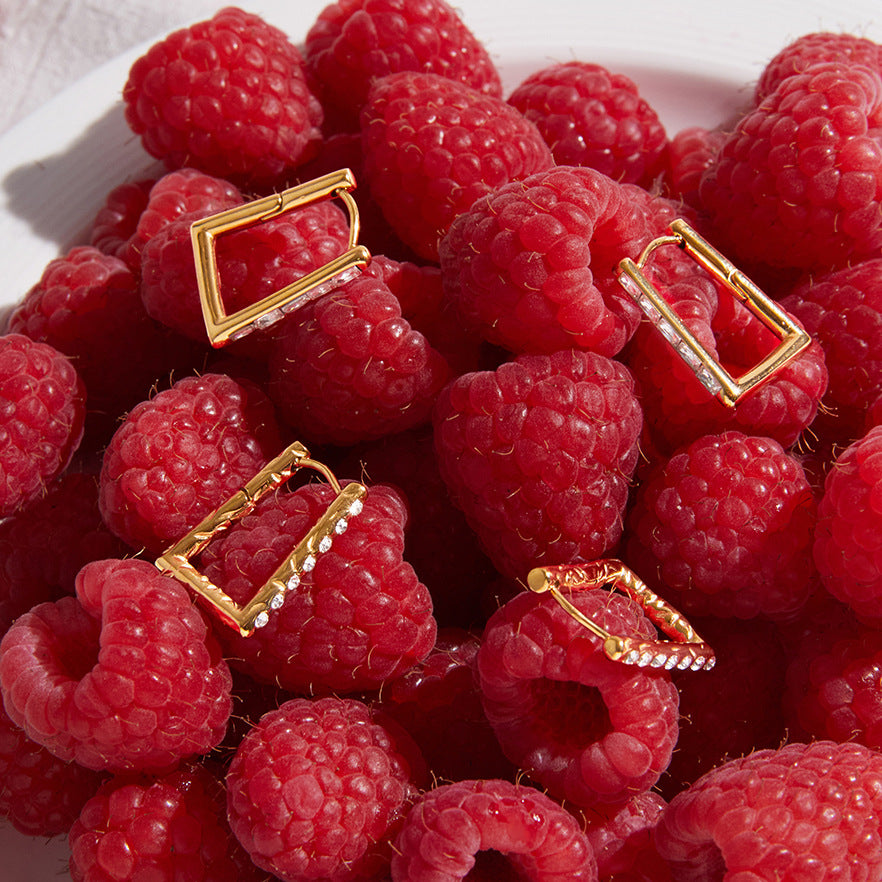Stone-set trapezoid hoops among raspberries