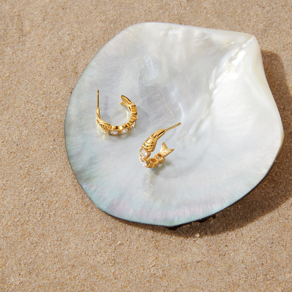 Pair of fish-shaped stainless steel hoops on a shell prop