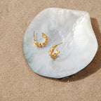Pair of fish-shaped stainless steel hoops on a shell prop