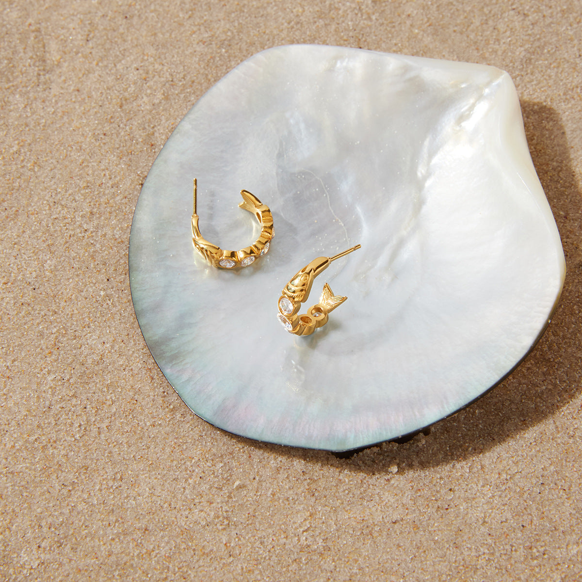Pair of fish-shaped stainless steel hoops on a shell prop