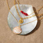 Red bead coin and shell necklace displayed on shell