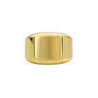 isolated gold plated square signet ring on white