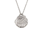Silver tone scallop shell pendant on a fine chain