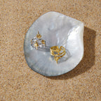 Two starburst rings displayed on a shell